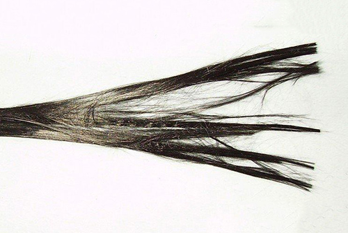 長纖連續(xù)的熱塑碳纖維跟短纖粉末有什么區(qū)別