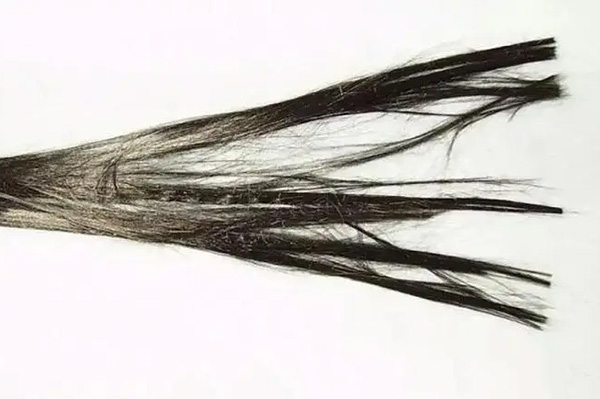 制備熱塑性碳纖維前，出廠自帶的上漿劑需謹(jǐn)慎處理