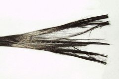 3k碳纖維管力學(xué)性能是否優(yōu)于24k碳纖維管？